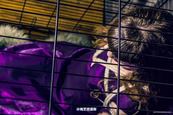 limitedaudience - 2014 fay inside the cage 2 第 9 张图片