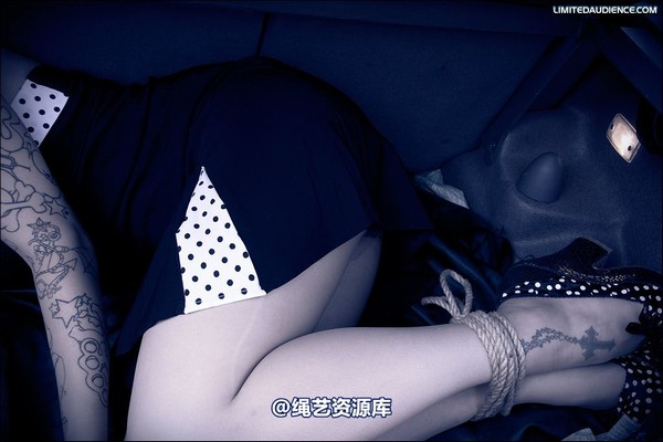 limitedaudience - 2008 b trapped in the boot 第 28 张图片