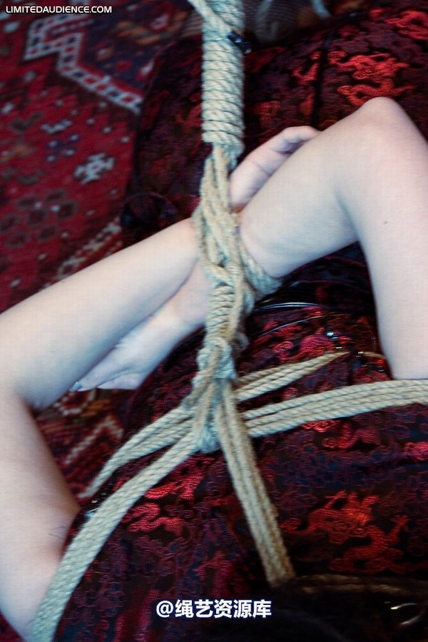 limitedaudience - 2008 andromedax hogtied 第 22 张图片