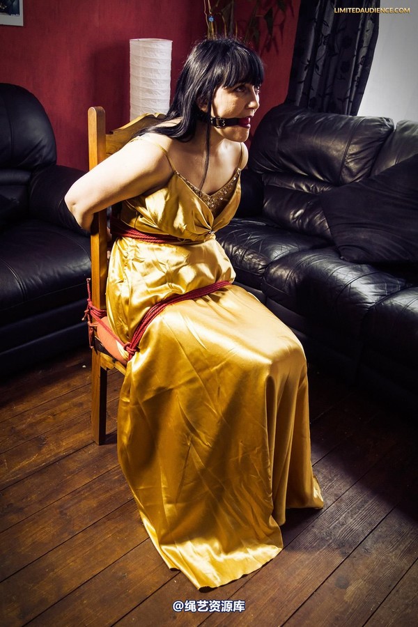 limitedaudience - 2013 dynamo golden satin 2 第 26 张图片