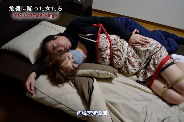jpdamsel - 20111201 抱き枕 第 22 张图片