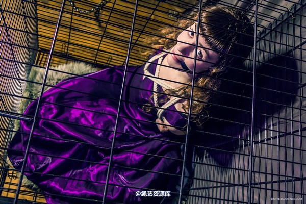 limitedaudience - 2014 fay inside the cage 2 第 18 张图片