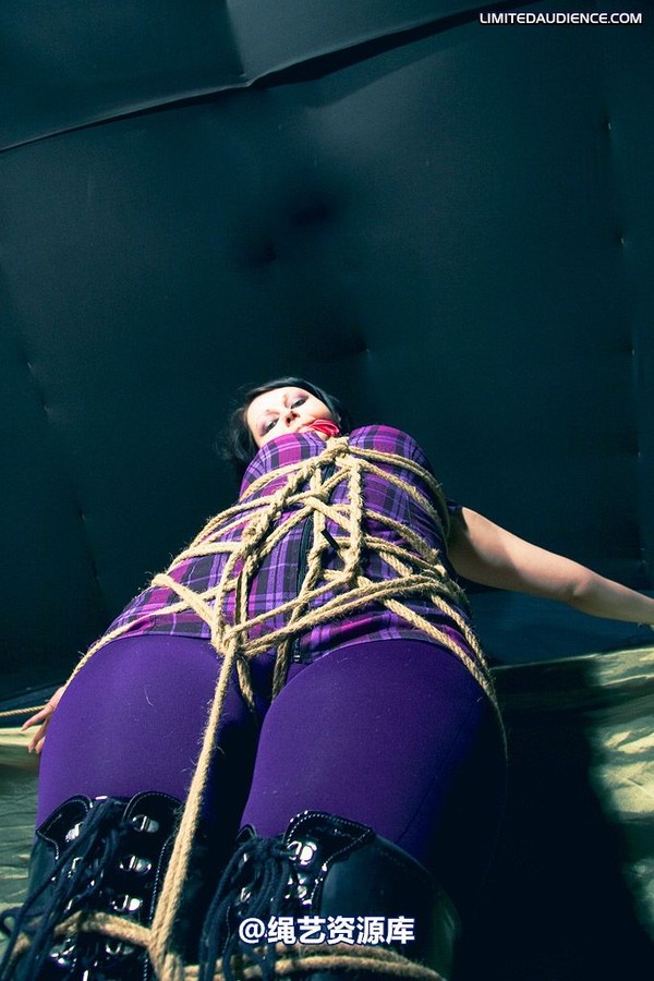 limitedaudience - 2009 deception bound tightly 第 24 张图片