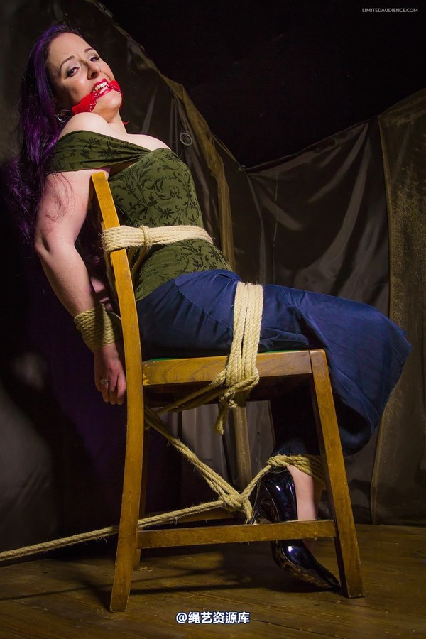 limitedaudience - 2014 caroline pierce captured damsel 第 36 张图片