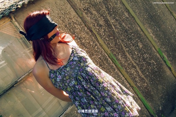 limitedaudience - 2013 scarlett blindfolded walk 第 10 张图片