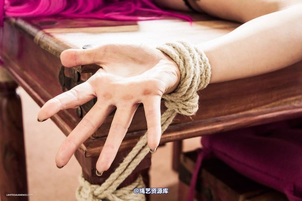 limitedaudience - 2015 elle over for dinner 2 第 10 张图片