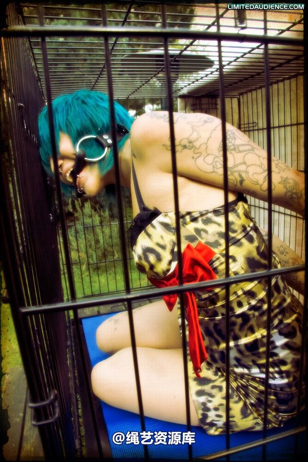 limitedaudience - 2009 b caged animal 第 20 张图片