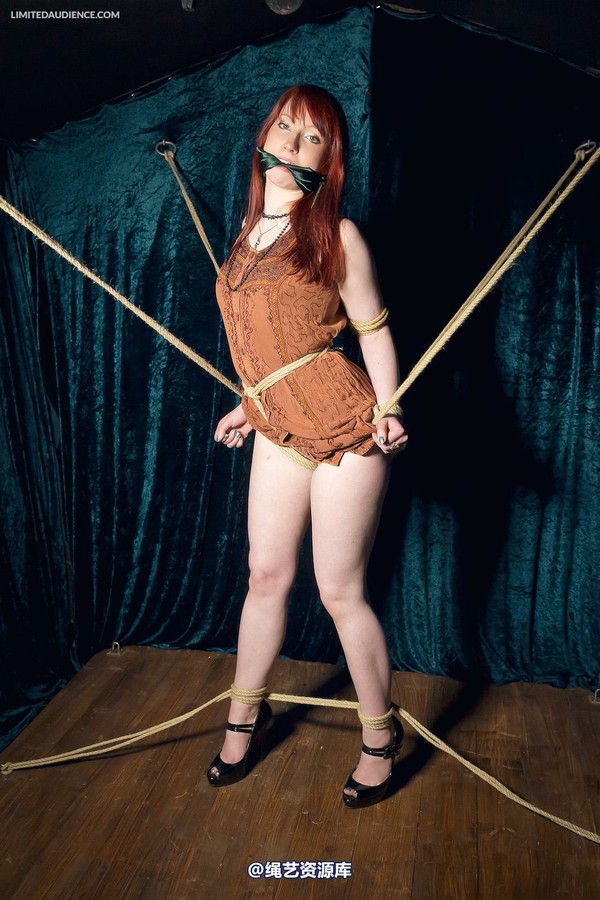 limitedaudience - 2013 syrah lee rope web 2 第 8 张图片