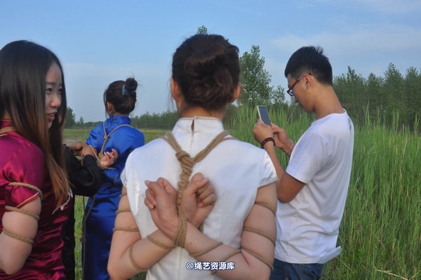 mj影视 - 凤凰烈焰 第 254 张图片