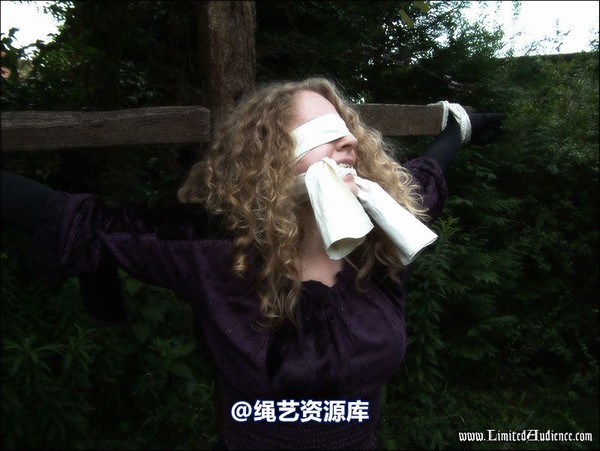 limitedaudience - 2007 ivy and the cross 第 71 张图片
