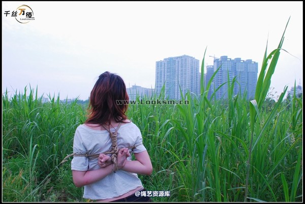 千丝万缕 - 2008-04-29-4日 第 54 张图片