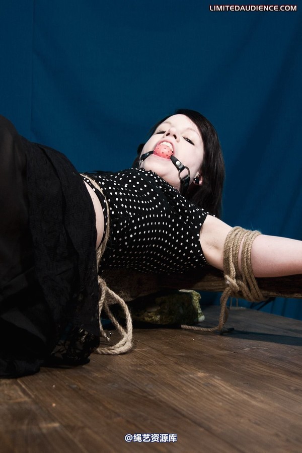 limitedaudience - 2011 luisa helpless to resist 2 第 24 张图片
