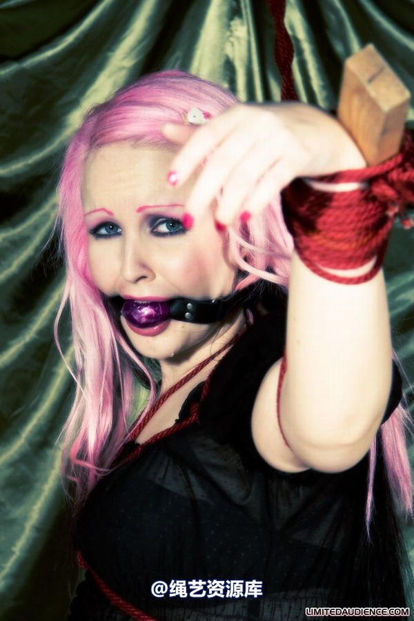limitedaudience - 2009 assisted suicide profoundly entangled 第 16 张图片