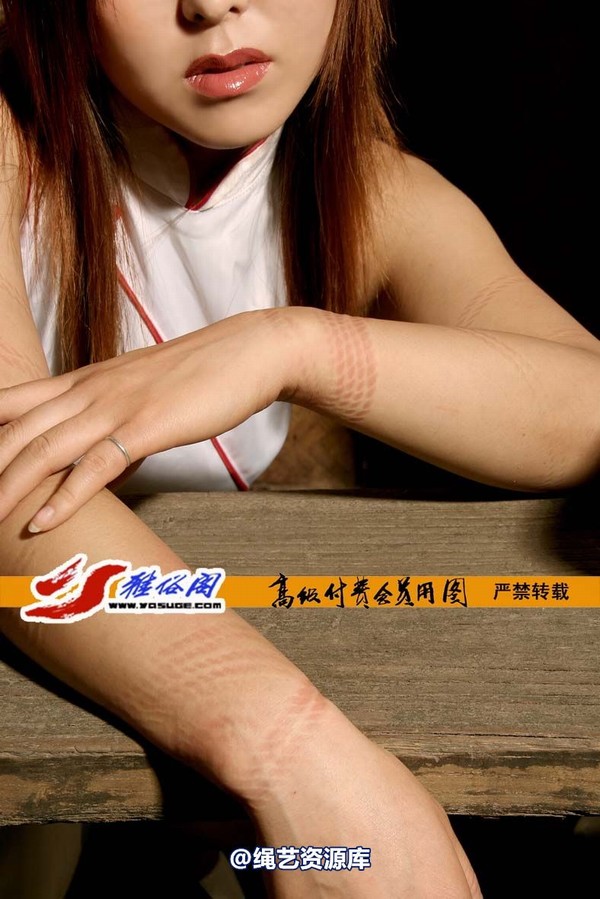 雅俗阁 - 20061224雅思雅琳老虎凳 第 43 张图片
