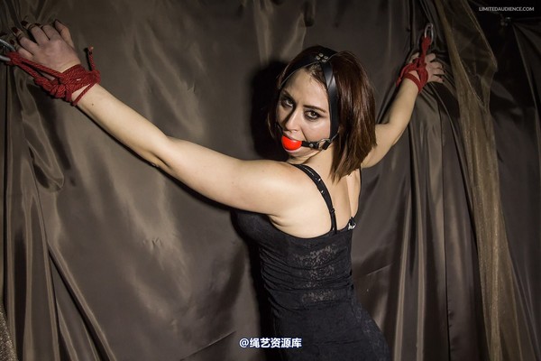 limitedaudience - 2014 ammalia up against the wall 第 12 张图片