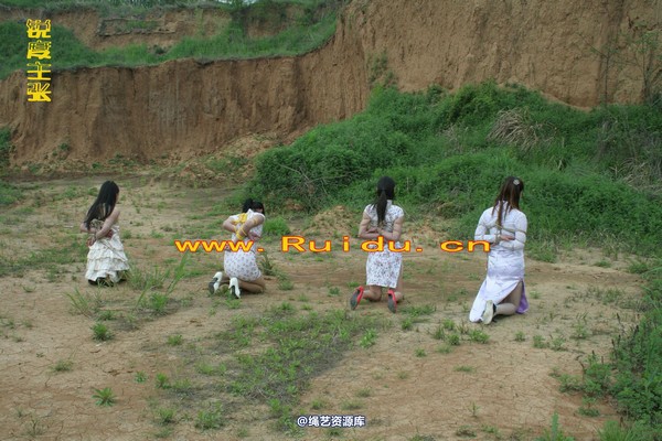 锐度主张 - 4月8日网友聚会室外篇3 第 45 张图片