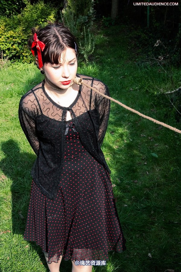 limitedaudience - 2010 dominick destruction sentenced and dragged 第 32 张图片