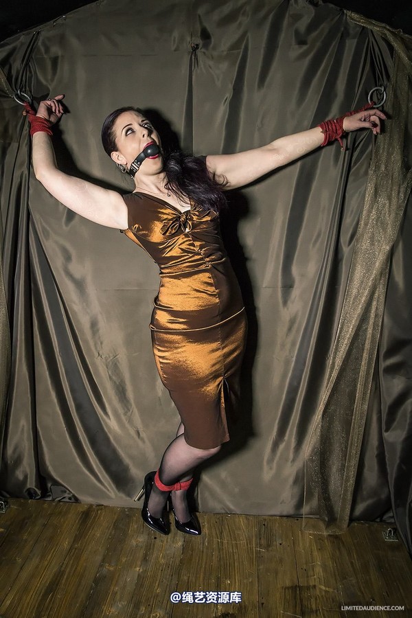 limitedaudience - 2014 caroline pierce bondage in bronze 第 16 张图片