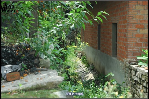 唯美之家 - 武当山之行-山脚匪事1 第 351 张图片