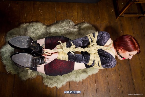 limitedaudience - 2013 syrah lee hogtied 2 第 10 张图片