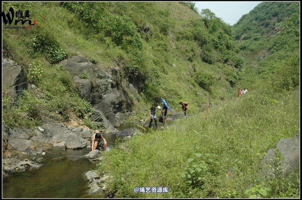 唯美之家 - 武当山之行-山间溪水畔 第 90 张图片