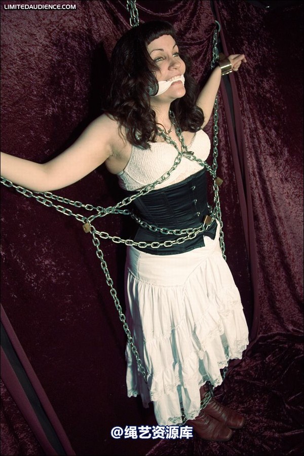 limitedaudience - 2008 veriddian chains on velvet 第 12 张图片