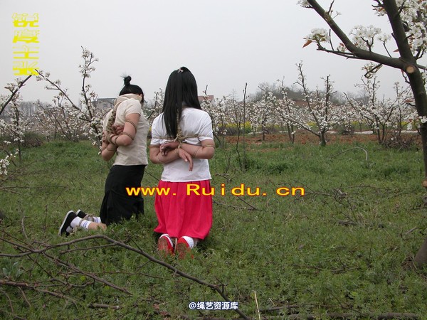 锐度主张 - 婷婷和寒冰梨花林中 第 54 张图片