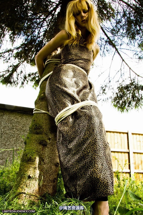 limitedaudience - 2011 ariel tied to a tree 第 2 张图片