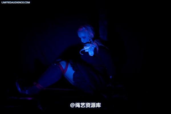 limitedaudience - 2009 assisted suicide taken 2 第 12 张图片