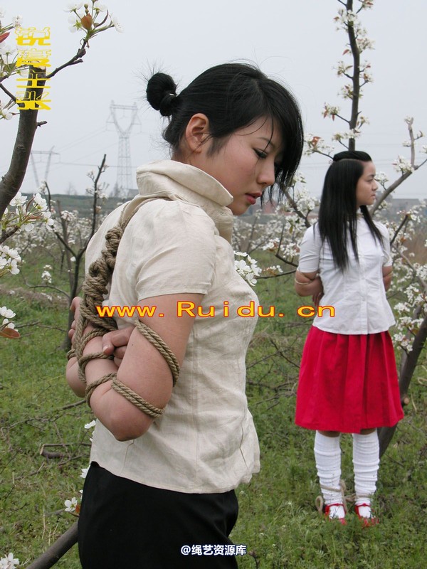 锐度主张 - 婷婷和寒冰梨花林中 第 31 张图片