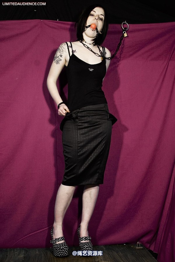 limitedaudience - 2010 jenvy display model 2 第 3 张图片