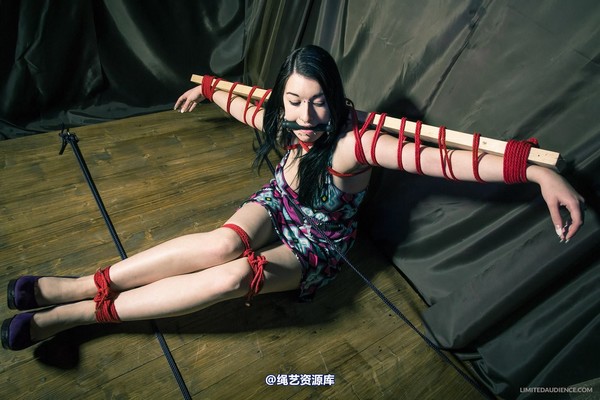 limitedaudience - 2013 stacey von time challenge 2 第 26 张图片