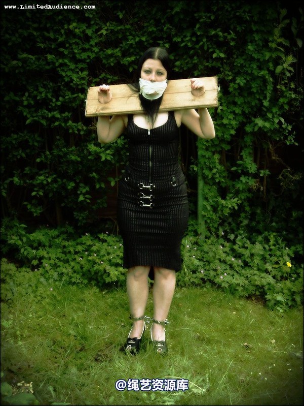 limitedaudience - 2007 asphyxia silenced secretary 第 2 张图片
