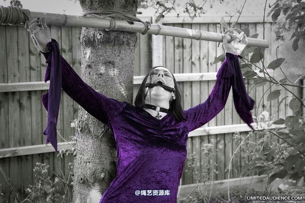limitedaudience - 2010 carmina unwilling offering 第 16 张图片
