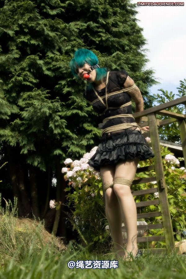 limitedaudience - 2009 b captive pixie 第 15 张图片