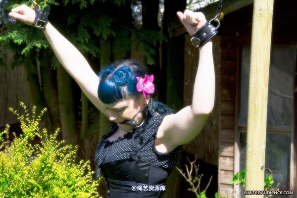 limitedaudience - 2010 raevan punished 第 18 张图片