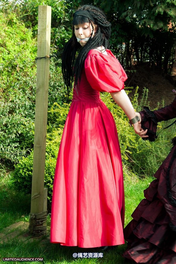 limitedaudience - 2011 catya lex eleven captive countess 2 第 13 张图片