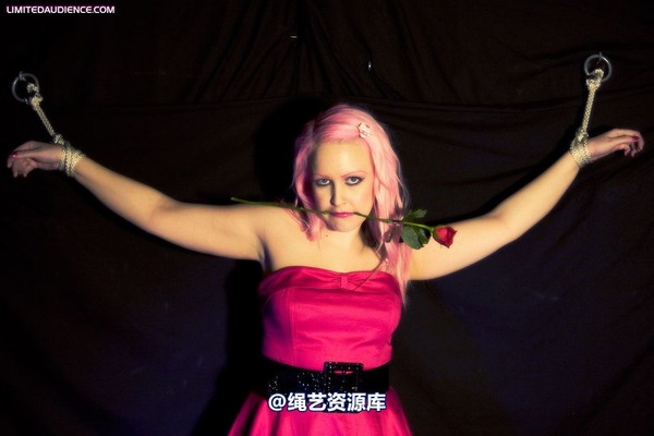 limitedaudience - 2009 assisted suicide a darling damsel 2 第 19 张图片