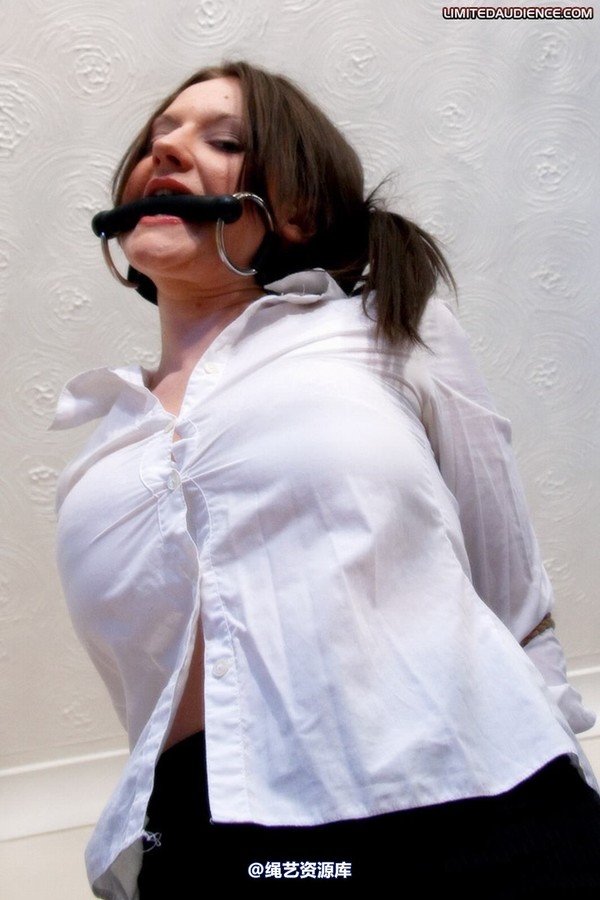 limitedaudience - 2009 sapphire business woman bound 第 18 张图片
