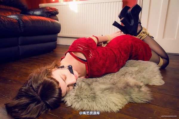 limitedaudience - 2015 fay hogtied 第 5 张图片