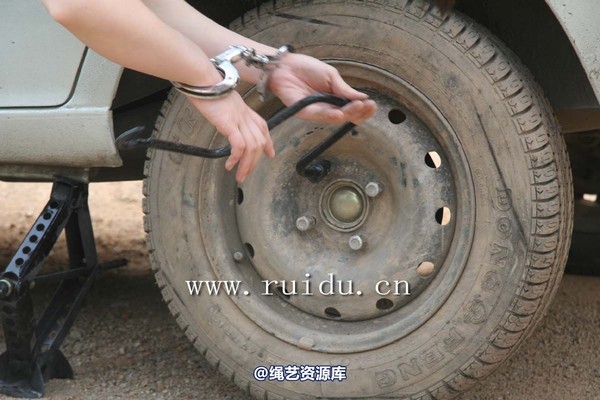 锐度主张 - 2009年第五期镣铐图（2009.1.21） 第 39 张图片