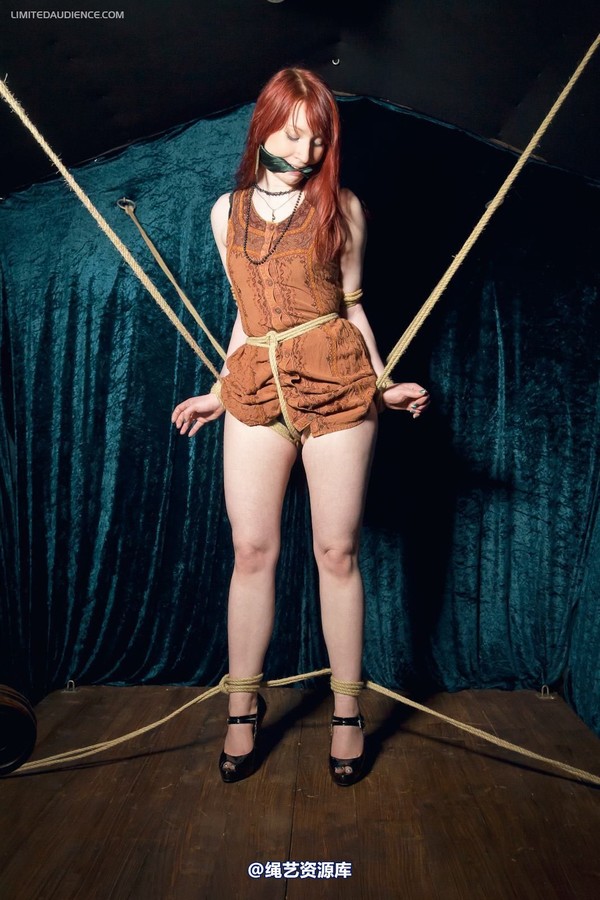 limitedaudience - 2012 syrah lee rope web 第 25 张图片