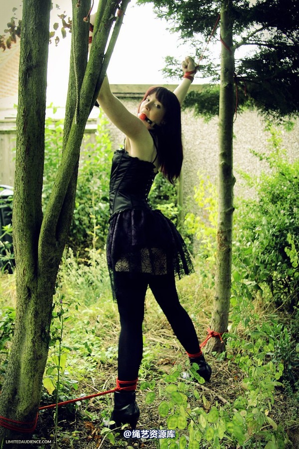 limitedaudience - 2013 syrah lee helpless outdoors 2 第 6 张图片