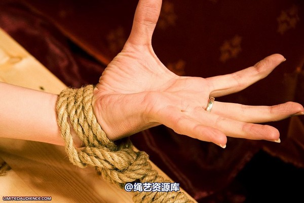 limitedaudience - 2009 scarlett unexpected predicament 2 第 17 张图片
