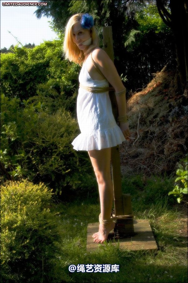 limitedaudience - 2008 ariel tied in the sun 2 第 19 张图片