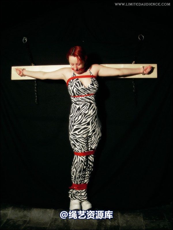 limitedaudience - 2007 erin chained animal 第 18 张图片