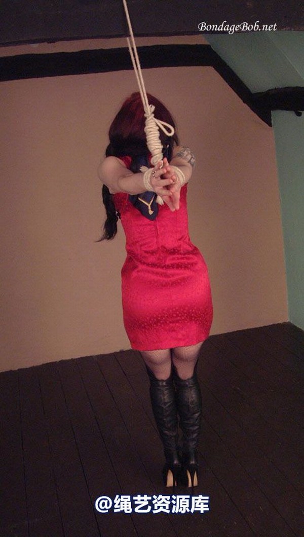 bondagebob - Morrigan Higher! 第 9 张图片