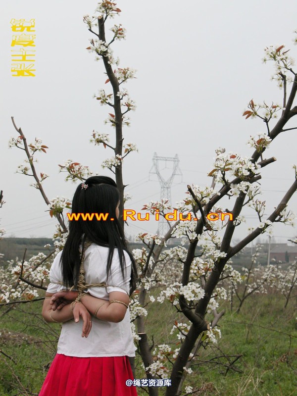 锐度主张 - 婷婷和寒冰梨花林中 第 42 张图片