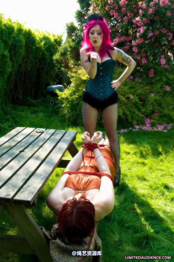 limitedaudience - 2009 scarlett shrinking violet the trap is set 第 24 张图片