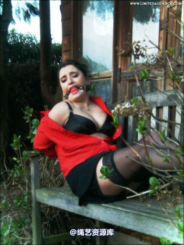 limitedaudience - 2007 jasmine de launay tied on lunch break 第 35 张图片